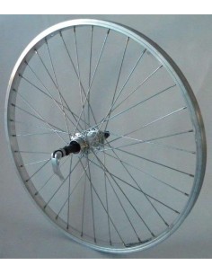 Rueda Bici Rodi 24 Trasera Aluminio Buje Rosca Con Cierres - 103665 - Rodi