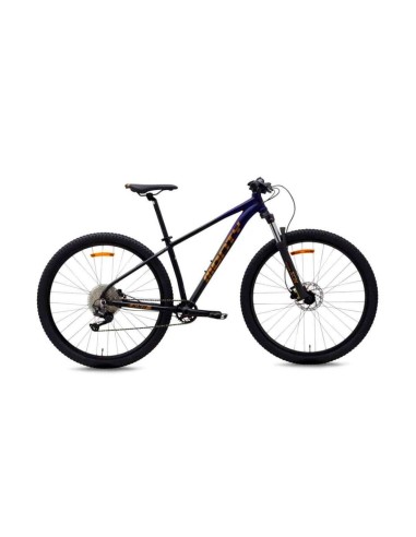 Bicicleta de montaña MTB Aluminio Monty KX11 Disco Hidraulico Negro-Azul-Dorado - 162001 - Monty