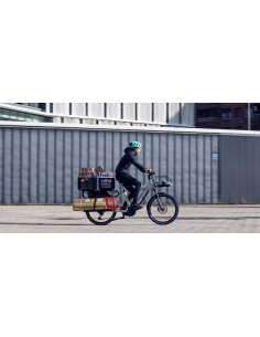 Bicicleta de Paseo Eléctrica Monty V8 | Navarro Hermanos 2