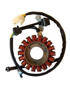 Stator Sgr Trifase 18 Poles Kymco People 250