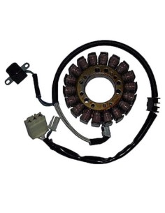 Stator SGR Trifase 18 polos conpick-up 2 4163071