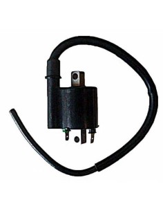 Bobina de alta SGR 12V (3,0 ohm - 2 Fastons) cable 40cm 04174320