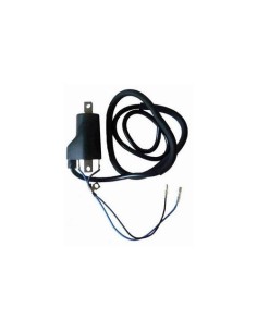 Bobina de alta SGR 12V (4,0 ohm - 2 Fastons) 04004761
