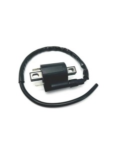 Bobina TNT para Yamaha XMAX 12V - 3o 180299A
