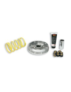 Variador Malossi Multivar 2000 para Leonardo 250 5111225