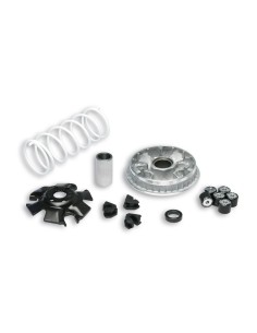 Variador Malossi Multivar 2000 para Suzuki Epicuro 125, 150cc 5111324