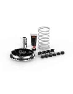 Variador Malossi Multivar 2000 para BMW C 400 X - C G 5118750