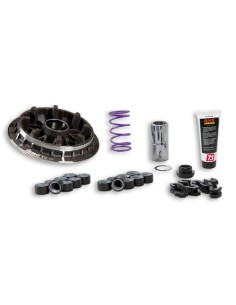 Variador Multivar 2000 MHR Malossi para Next 5118058