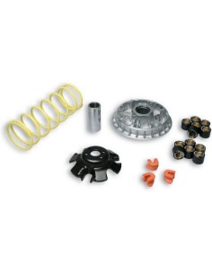 Variador Malossi Multivar 2000 para Kymco Xciting 300 IE R , KXR 250, Maxxer 300 5113892