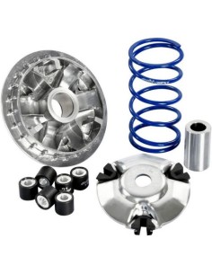 Variador Polini Hi-Speed para Yamaha XMAX 125 241.761