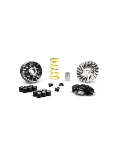 Variador Malossi para Yamaha RAYZR IE Euro 5 5120414