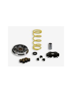 Multivar variador Malossi para scooter 517128