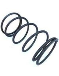 Juego muelles embrague Polini para scooters Piaggio y Peugeot 245.030