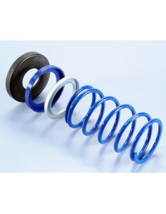 Contraresorte Polini Evo Slider TMAX 500 243.099