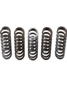 Kit muelle de embrague TRW Honda cbr 250 r, ra 11-15 MEF309-5