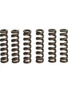 Kit muelle de embrague TRW kawasaki er-6 650 n,f 06-08 MEF110-6