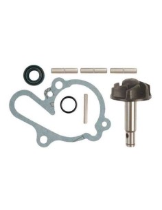 Kit de reparación bomba agua Tecnium para motors AM6 1008721