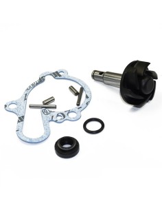 Bomba de agua Kit de reparación Top Performances para motor Minarelli AM6 AA00789