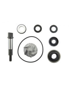 Bomba de agua Kit de reparación Top Performances para Honda SH 300cc AA00822
