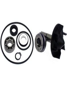 Kit rep. bomba h2o Top reformance Yamaha t-max 530 AA00831