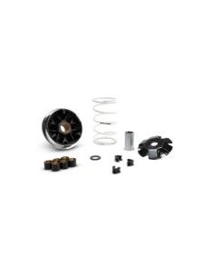 Variador Malossi Peugeot Kisbee IE 5120225