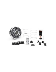 Variador Malossi Multivar Piaggio Beverly 5120424
