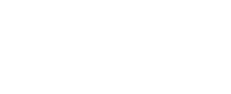 Pago online 100% seguro